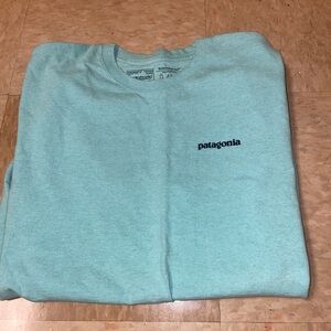 mens patagonia t-shirt